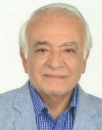 محمدتقی مصلح شیرازی